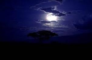   Notte Oscura
