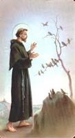 I fioretti di San Francesco
