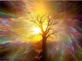   LA MEDICINA DELL’ANIMA