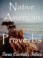   I Proverbi Amerindiani