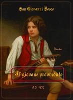   Il giovane provveduto