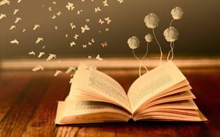   LIBRO SEGRETO