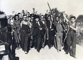   Il federalismo libertario