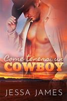   Come tenersi un cowboy