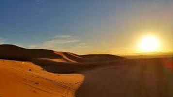   NEL DESERTO