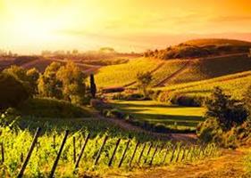   LEZIONI DI LINGUA TOSCANA