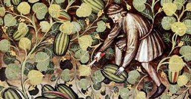   NOTIZIE DEL PUBBLICO GIARDINO DE'SEMPLICI DI PADOVA