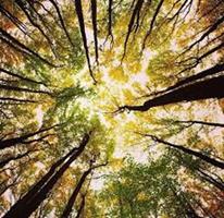   Uomini e idee del domani