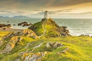   COMMEDIE IRLANDESI
