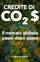 Crediti di carbonio: Il mercato globale passo dopo passo