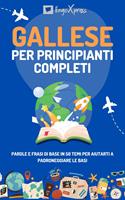   Gallese per principianti completi