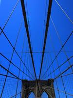   My New York