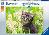Ravensburger - Puzzle Gattino nel prato, 500 Pezzi, Puzzle Adulti