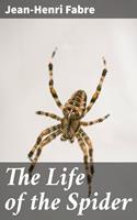   The Life of the Spider