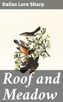   Roof and Meadow