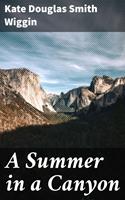   A Summer in a Canyon