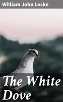   The White Dove