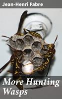   More Hunting Wasps