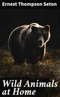   Wild Animals at Home