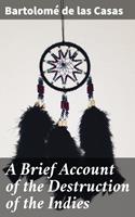  A Brief Account of the Destruction of the Indies