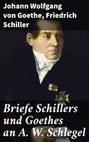   Briefe Schillers und Goethes an A. W. Schlegel