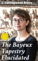   The Bayeux Tapestry Elucidated