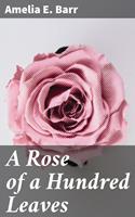   A Rose of a Hundred Leaves