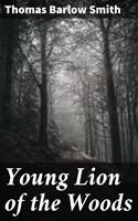   Young Lion of the Woods