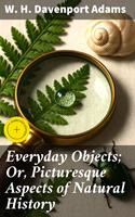 Everyday Objects; Or, Picturesque Aspects of Natural History