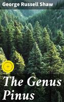   The Genus Pinus