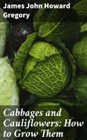 Cabbages and Cauliflowers: How to Grow Them