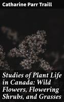   Studies of Plant Life in Canada: Wild Flowers, Flowering Shrubs, and Grasses