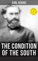   The Condition of the South
