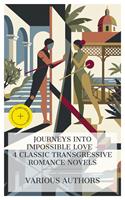   Journeys into Impossible Love &ndash; 4 Classic Transgressive Romance Novels