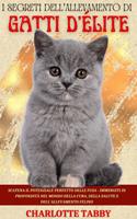 I Segreti Dell'allevamento Di Gatti D'élite