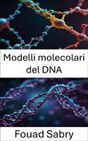 Modelli molecolari del DNA