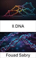   Il DNA