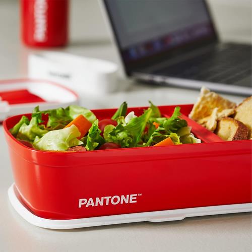 Pantone™ - Lunch Box, porta pranzo stile bento con divisorio interno ufficio  scuola. 12x7x20,7 - Verde Chiaro Pantone 2023