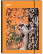 Cartellina con elastico Ds01# Colour Code Animal Snapshot - 25 x 34 cm