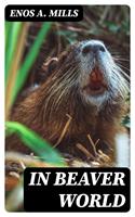   In Beaver World