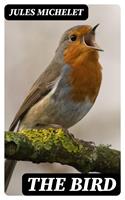   The Bird