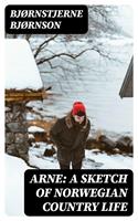   Arne: A Sketch of Norwegian Country Life