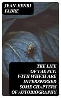   The Life of the Fly; With Which are Interspersed Some Chapters of Autobiography
