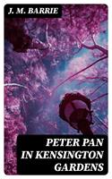   Peter Pan in Kensington Gardens