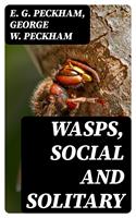   Wasps, Social and Solitary