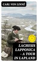   Lachesis Lapponica - A Tour in Lapland