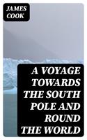   A Voyage Towards the South Pole and Round the World