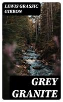   Grey Granite