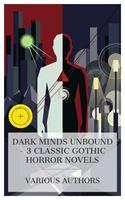   Dark Minds Unbound &ndash; 3 Classic Gothic Horror Novels