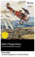   Mein Fliegerleben (Zusammengefasste Ausgabe)